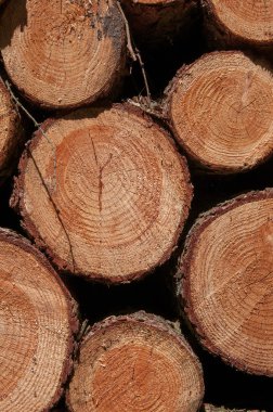 Paslı metal doku görüntü