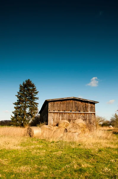 Eski döken ve ağaçlar