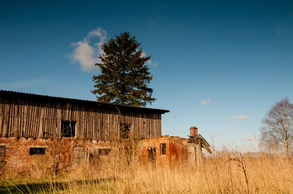 Eski döken ve ağaçlar