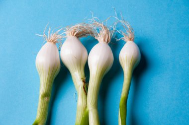 taze genç soğan ile mavi bir arka plan yukarıdan kaynaklanıyor