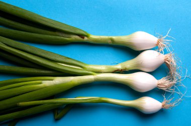 taze genç soğan ile mavi bir arka plan yukarıdan kaynaklanıyor