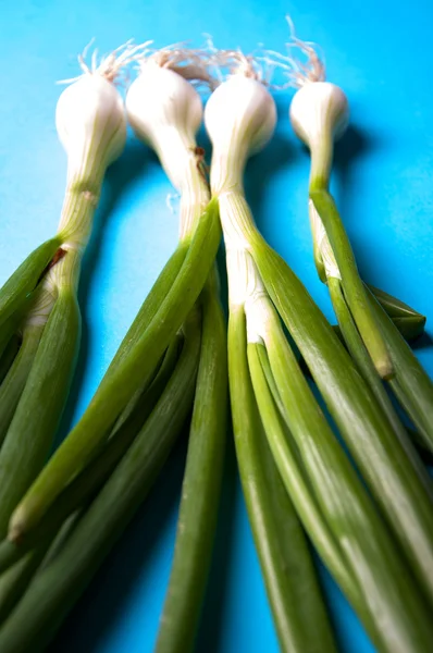 Fresh young onions with stems on a blue background from above — Stock Photo, Image