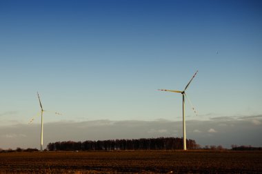 yel değirmeni gün için görüntü