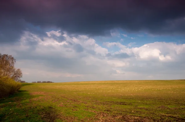 L'image des terres agricoles . — Photo