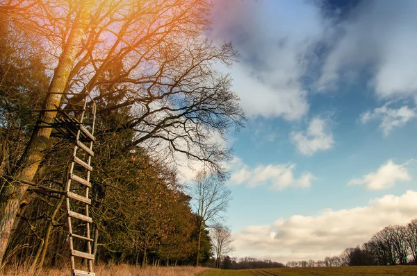 Das Bild der hustenden Kanzel. — Stockfoto