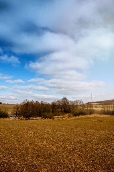 Picture of early spring — Stock Photo, Image