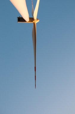 yel değirmeni gün için görüntü