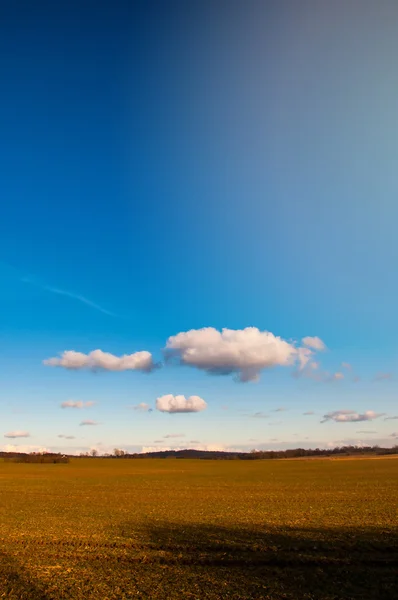 Bild vom Vorfrühling — Stockfoto