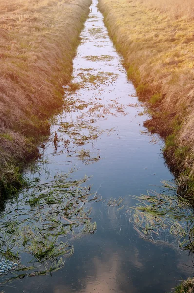 La imagen de un pequeño río — Foto de Stock