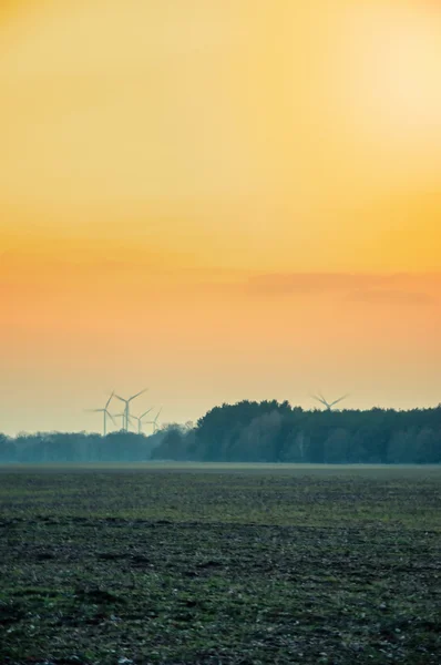 Picture of early spring — Stock Photo, Image