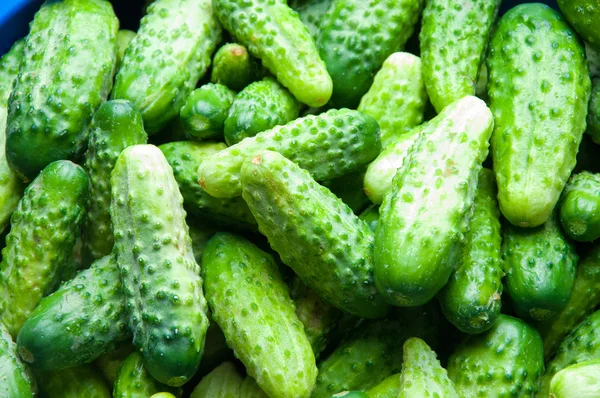 A imagem de pepino fresco em uma mesa de madeira — Fotografia de Stock