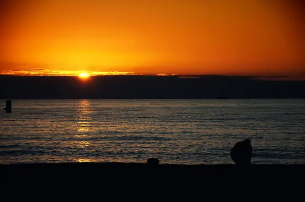 Fotógrafo na praia ao pôr do sol — Fotografia de Stock