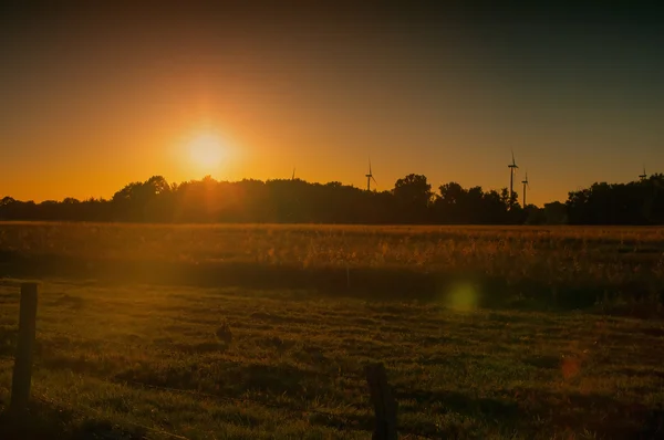 Uma imagem do prado ao pôr-do-sol — Fotografia de Stock