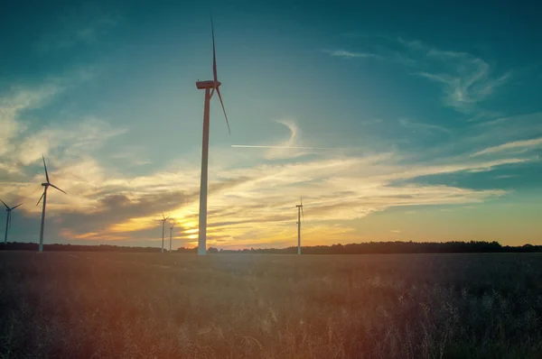 An image of windmills at sunset — Stock Photo, Image