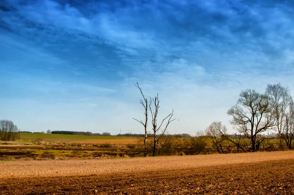 Das Image von Ackerland — Stockfoto