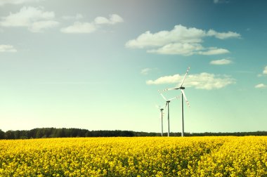 Tecavüz alanında rüzgar türbini