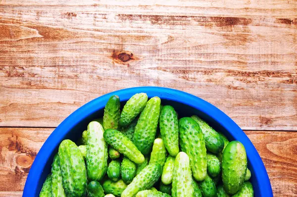 The image of fresh cucumber on a wooden table — Stock Photo, Image