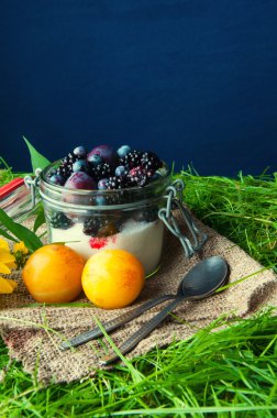 Bir kavanozun içinde kapalı taze meyve. Çim arka plan