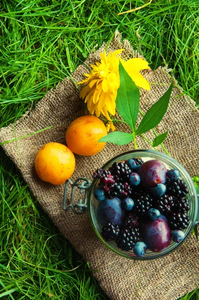 Fresh fruit sealed in a jar. Grass background — Stock Photo, Image