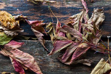 Arka plan eski ahşap masa yapraklarda ile