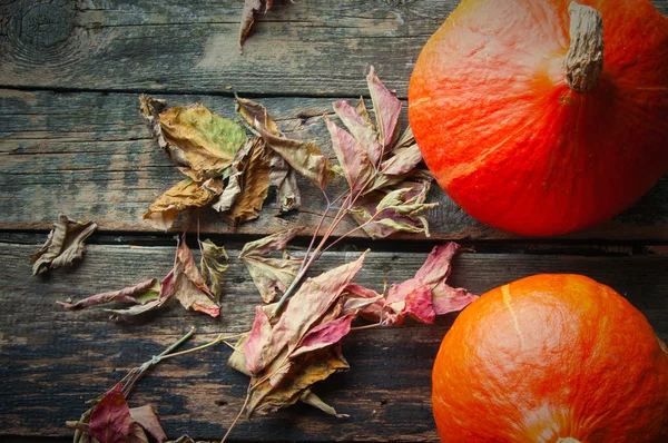 Calabazas sobre una vieja mesa de madera — Foto de Stock