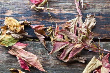 Arka plan eski ahşap masa yapraklarda ile