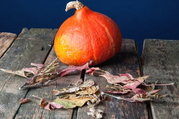 Calabazas sobre una vieja mesa de madera — Foto de Stock