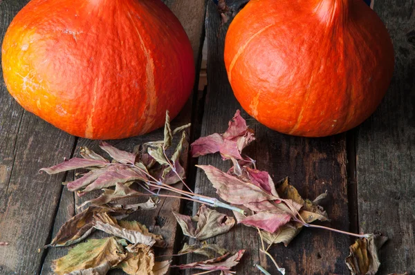 Calabazas sobre una vieja mesa de madera — Foto de Stock