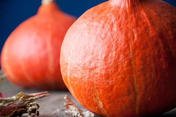 Calabazas sobre una vieja mesa de madera — Foto de Stock