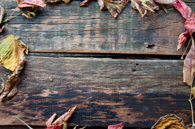 Arka plan eski ahşap masa yapraklarda ile