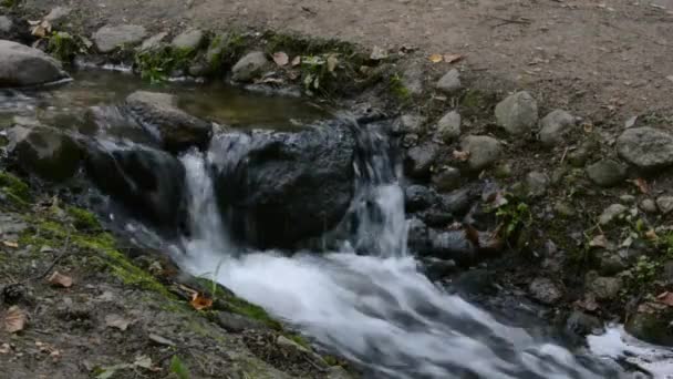 Arroyo fluye en un bosque en un hueco entre las rocas, burbujeando y salpicando — Vídeos de Stock