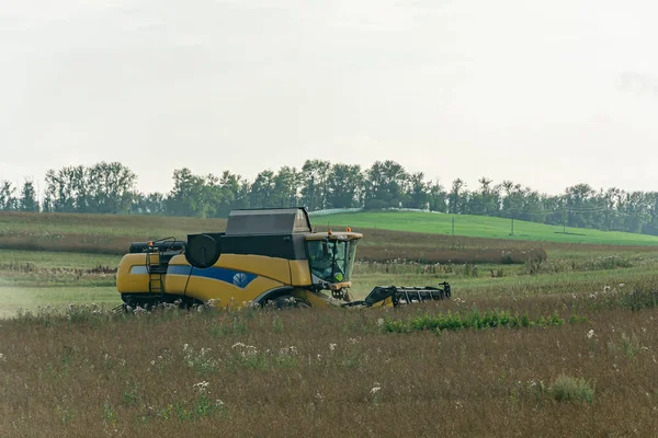 Russia Bryansk 2018 Combine Harvester Field Harvests Grain Crops Stock — Stock Photo, Image