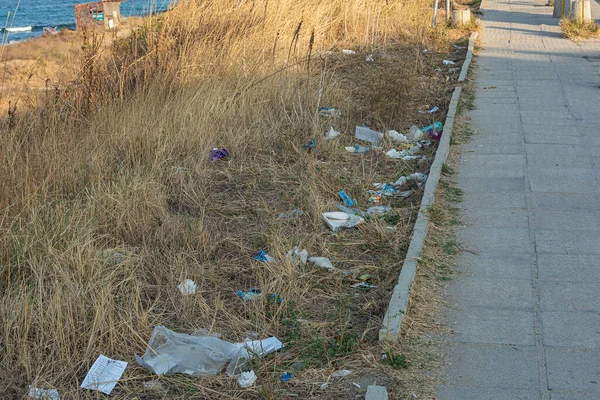 Basura Hierba Largo Acera Peatonal Foto Stock — Foto de Stock