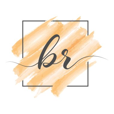 Calligraphic lowercase letters BR in a single line on a colored background in a frame. Vector illustration isolated on a white background. Creative design.