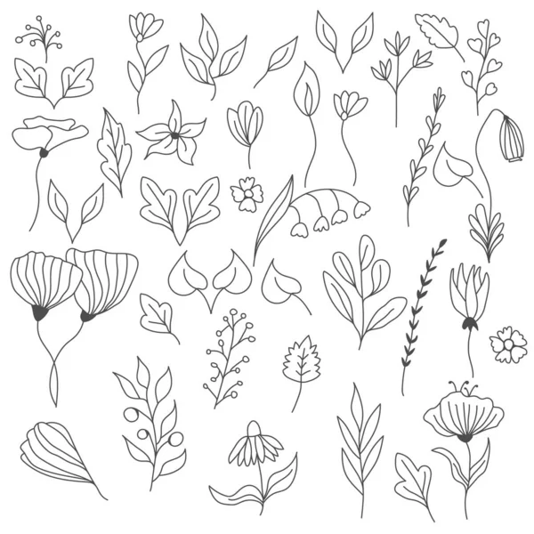 Conjunto Vectorial Elementos Florales Herbales Dibujados Mano Estilo Garabato Para — Vector de stock