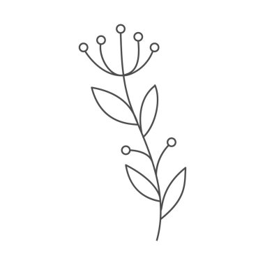 Çiçekler boyama kitapları, yapıştırma kitabı, yaratıcı doğa tasarımı, afişler, kartpostallar, davetiyeler ve baskılar için elle çizilmiştir. Basit biçim