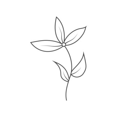 Çiçekler boyama kitapları, yapıştırma kitabı, yaratıcı doğa tasarımı, afişler, kartpostallar, davetiyeler ve baskılar için elle çizilmiştir. Basit biçim