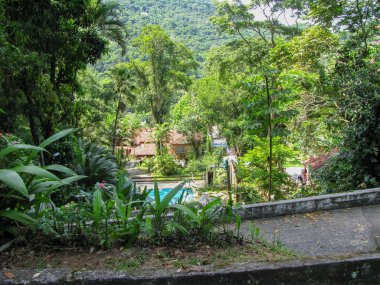 Güzel tropikal yağmur ormanları manzara ortasında Güney Amerika