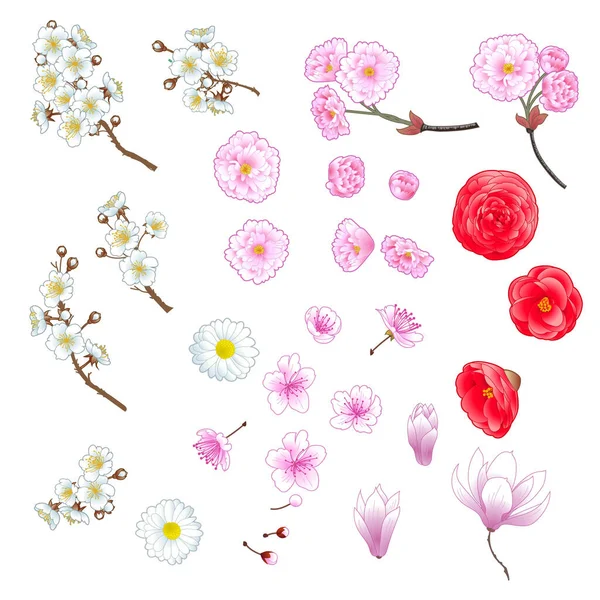 Set van decoratieve bloemen — Stockvector