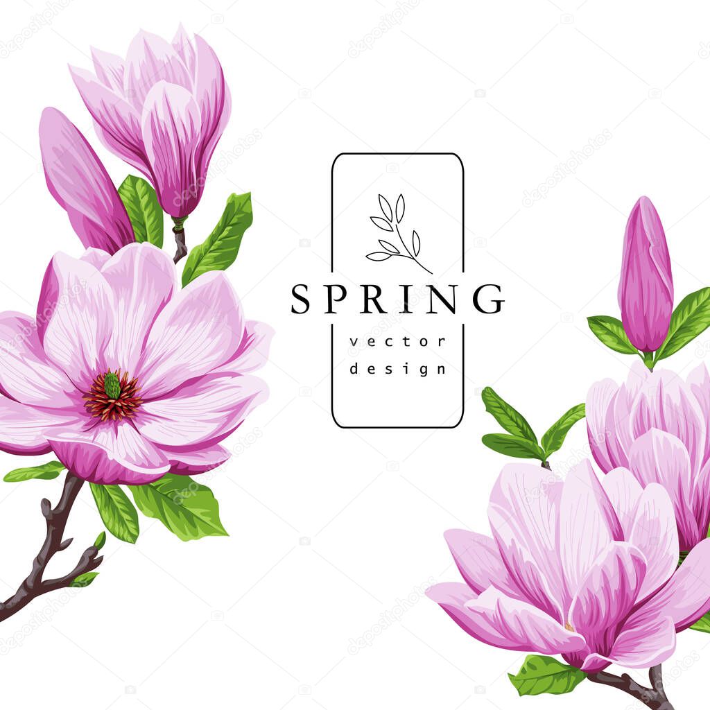 Spring greeting card with magnolia flowers