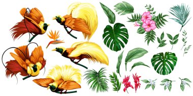 Büyük bir tropikal set.