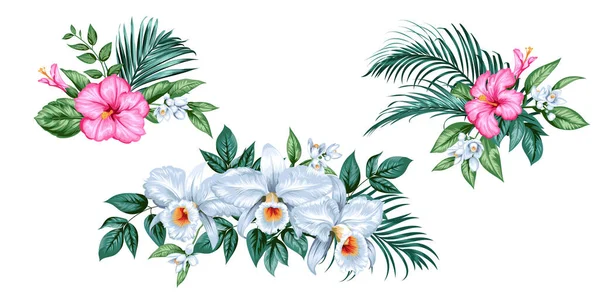 蘭、ハイビスカスの花とヤシの葉の熱帯の束のセット — ストックベクタ