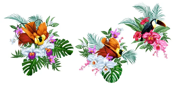 Set di mazzi di fiori con fiori tropicali e uccelli — Vettoriale Stock