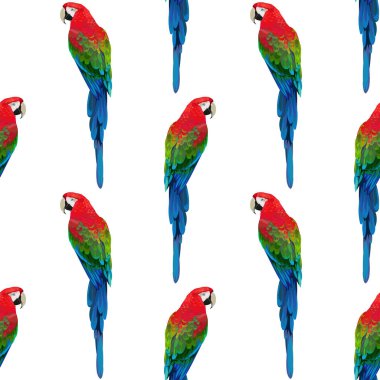 Kırmızı papağanlarla kusursuz desen