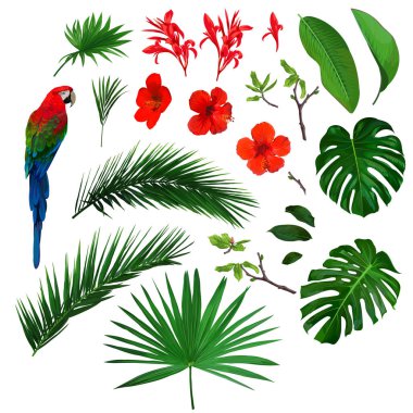 Papağanlı orman çiçekleri.