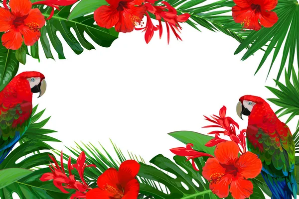 Яркая рамка с красными тропическими цветами и пальмовыми листьями — стоковый вектор