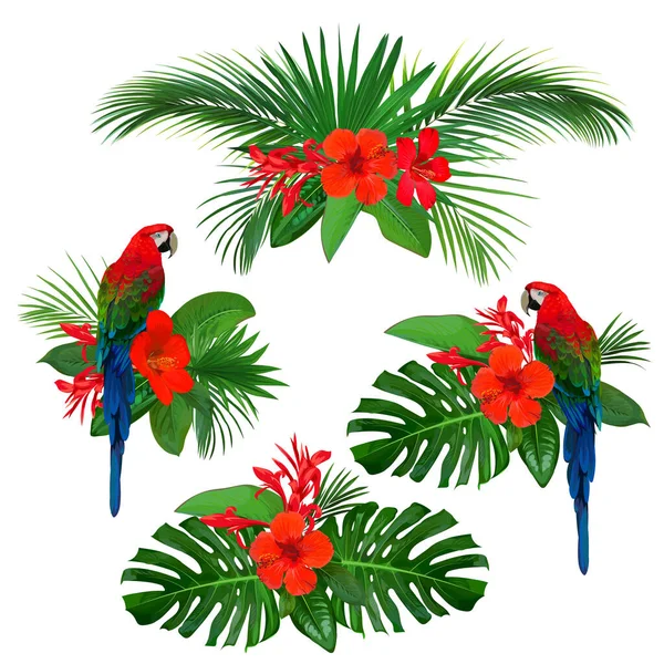 Conjunto de elementos florais tropicais para cartão de felicitações — Vetor de Stock