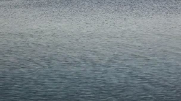 Surface calme de l'océan - bouclable 