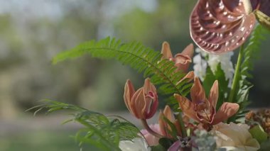 Taze çiçekler ve meyvelerin birleştiği renkli bir buketin yakın çekimi. Yumuşak ışık, canlı renkler ve botanik elementlerle doğal bileşim.