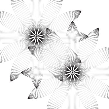 beyaz zemin üzerinde iki çiçek.